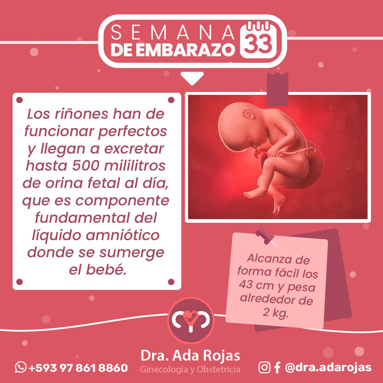 Dra. Ada Rojas - La mamá sigue ganado peso y pronto...