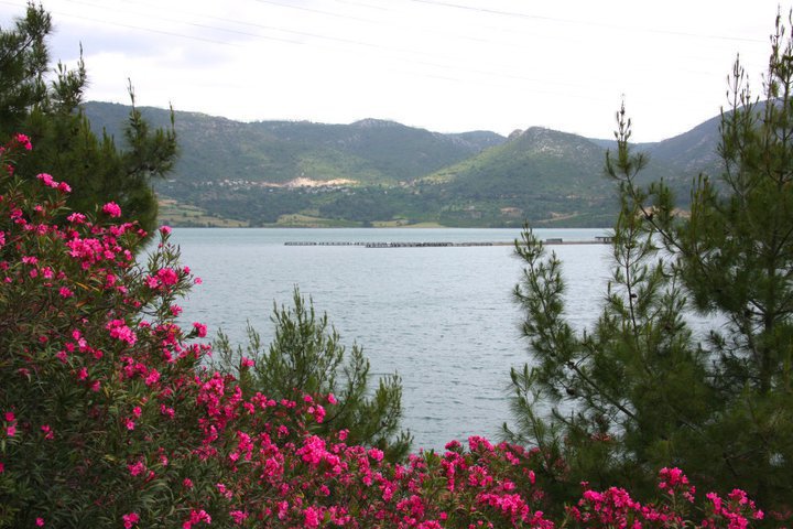 Kozan Burada