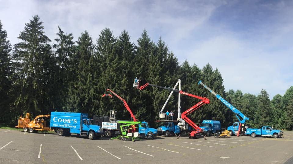 Cooks Tree Service inc. | Lincroft NJ