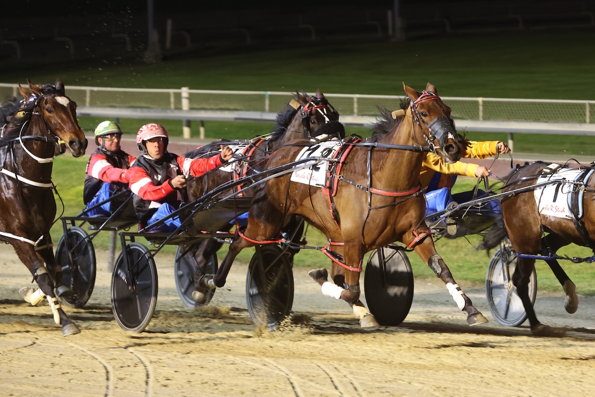 Addington - Race 8: NEVELE R FILLIES SERIES No. 47 (Heat 2) MOBILE PACE ...
