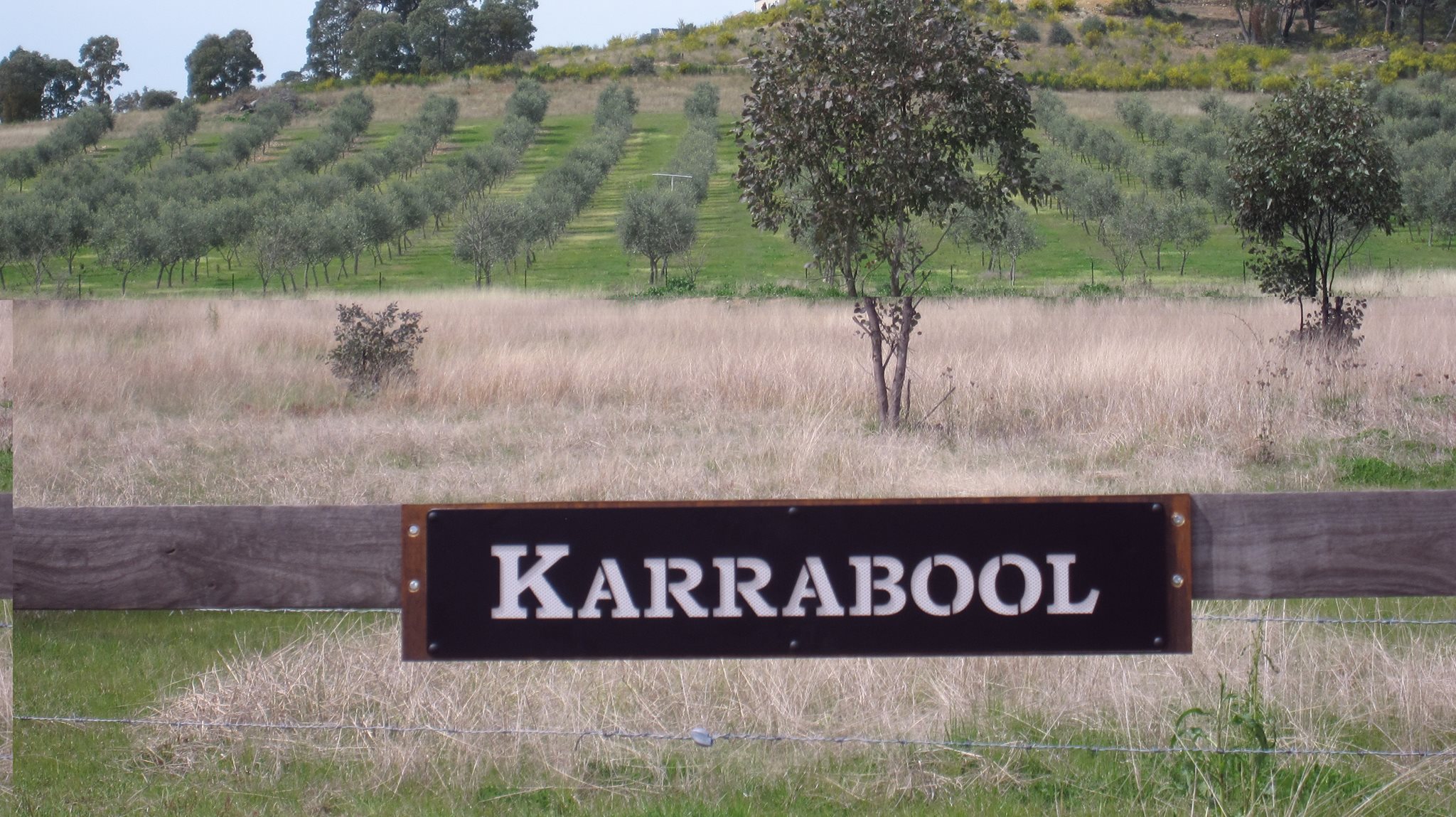 Heading into the southern Flinders Ranges we couldn't believe how ...