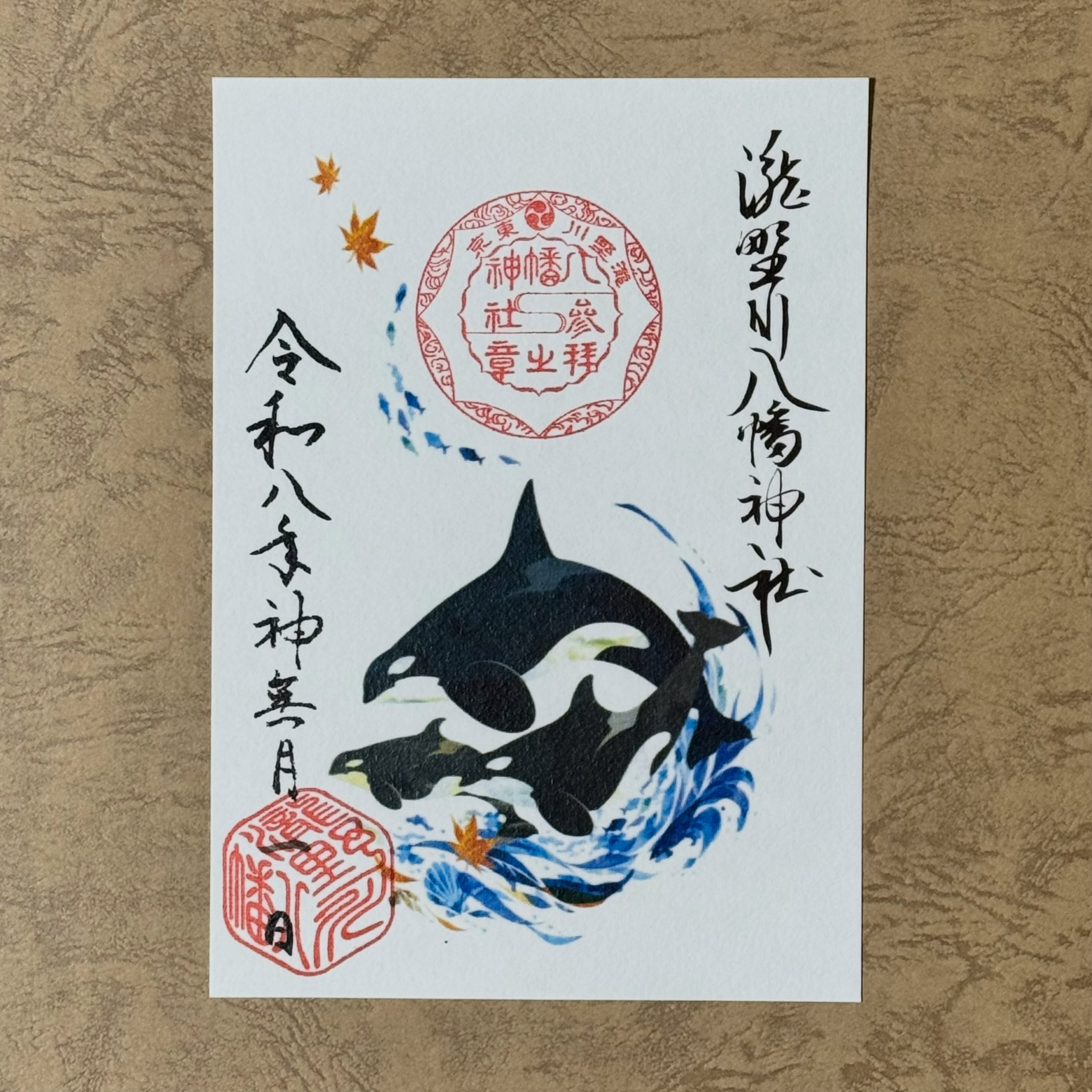 ②シャチの目はどこにある？ シャチといえば、顔の白い模様が印象的