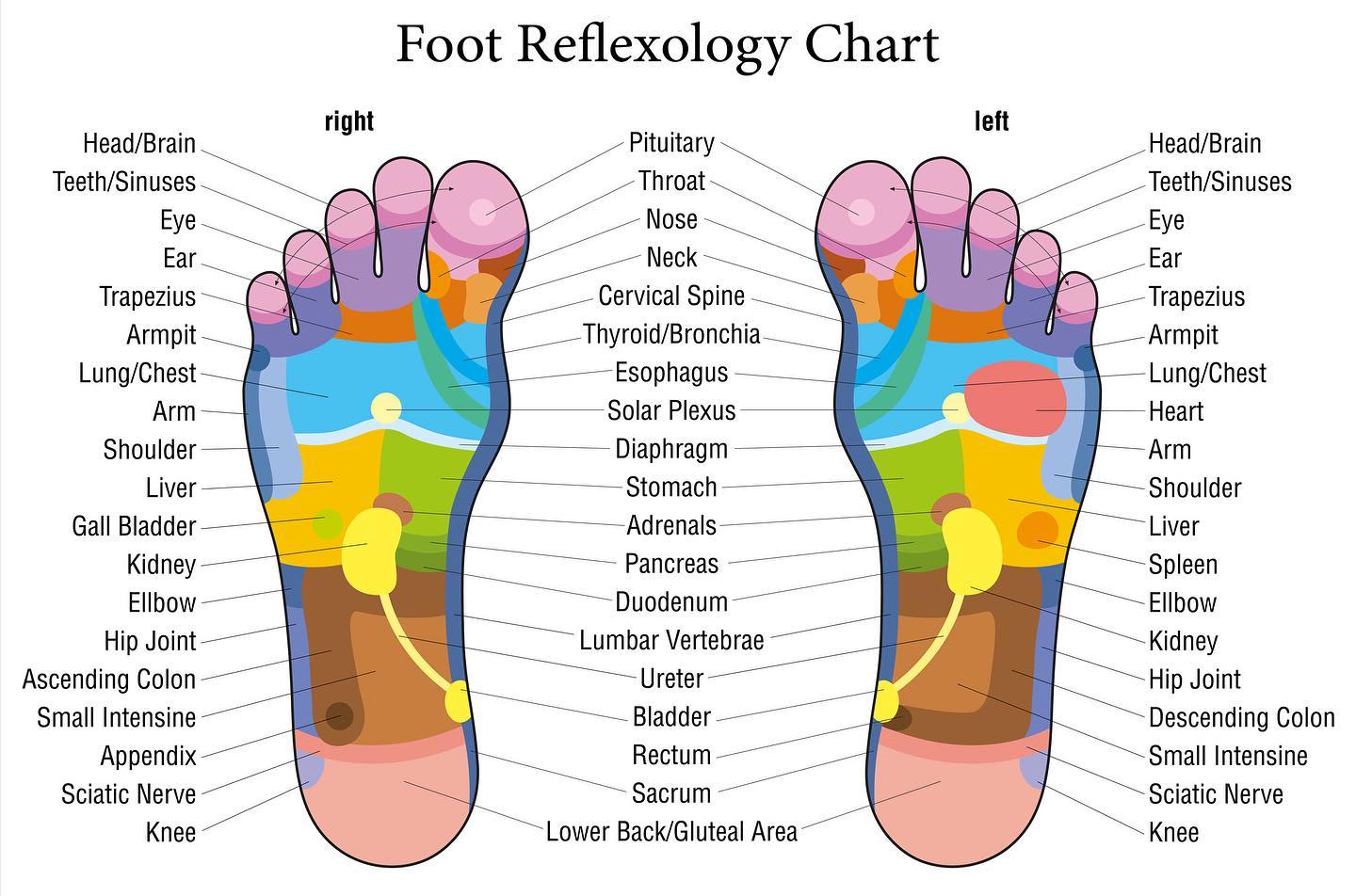 Plush Massage + Reflexology | Spring TX