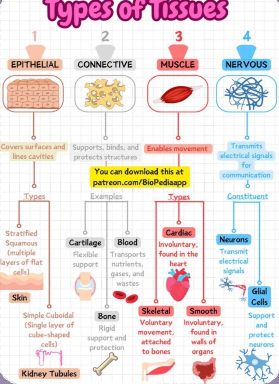 Biology | Facebook
