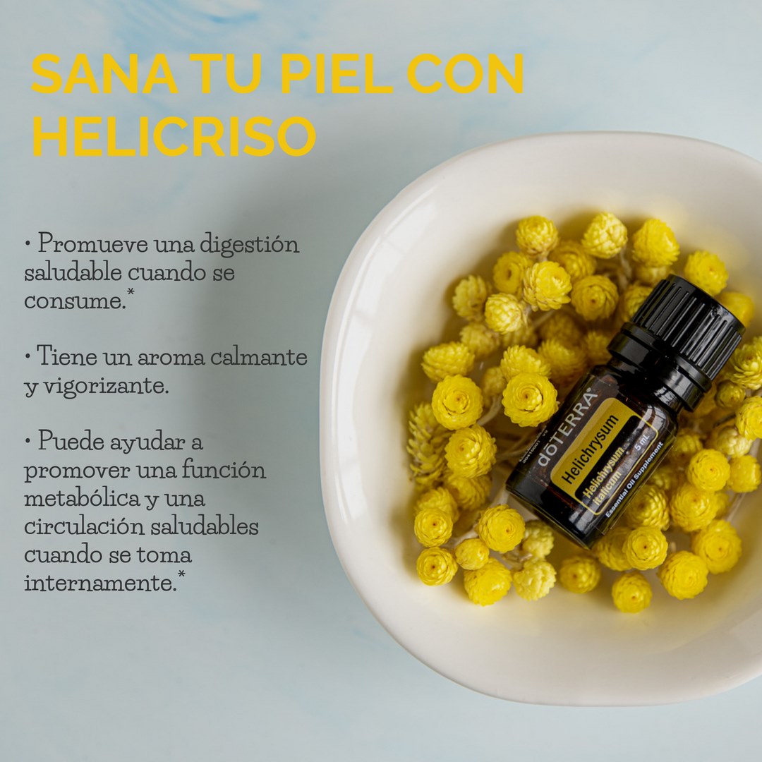 Usando Aceites - Dato curioso: El nombre Helichrysum se deriva de las ...