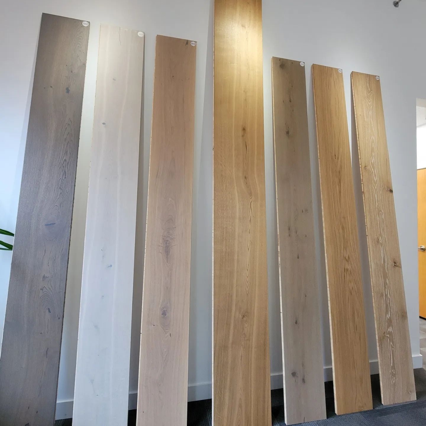 Europlex International Importing - Home