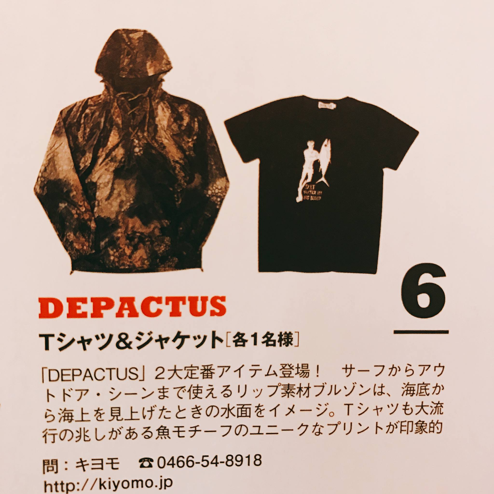 DEPACTUS JAPAN | Fujisawa-shi Kanagawa