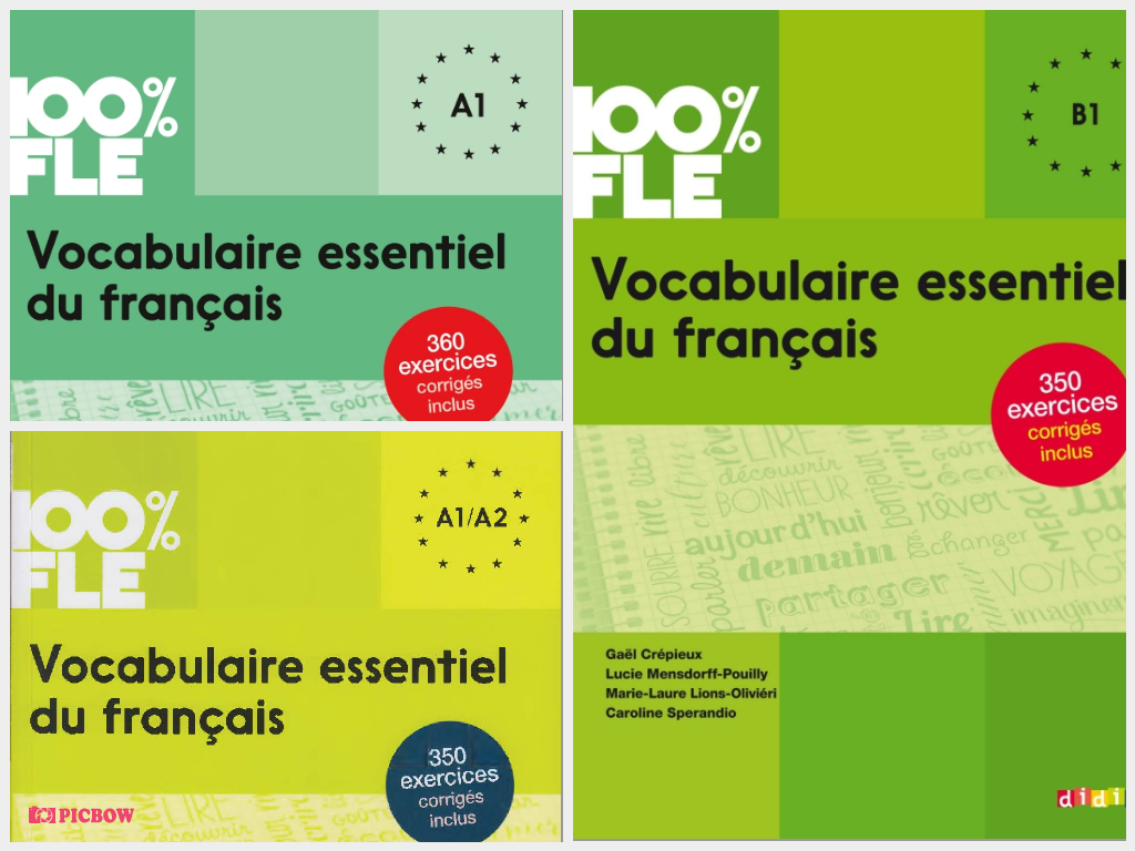 100 Fle Vocabulaire Essentiel Du Français Pdf