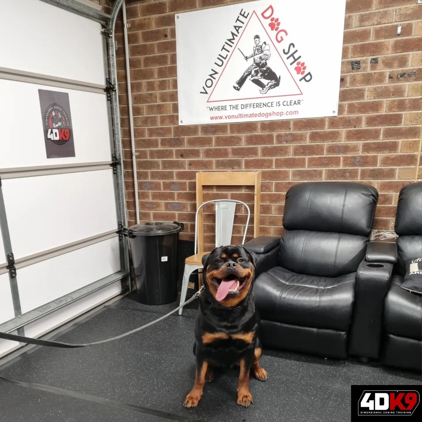 4D K9 - Dimensional Canine Training - Always a pleasure Jason & Ollie 😇 ...