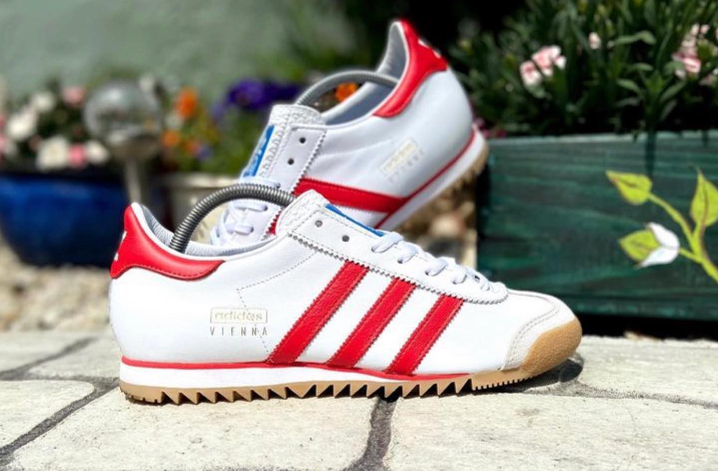 Man - ?? Vienna ?? ? @collie_dassler_the_2nd #adidas 