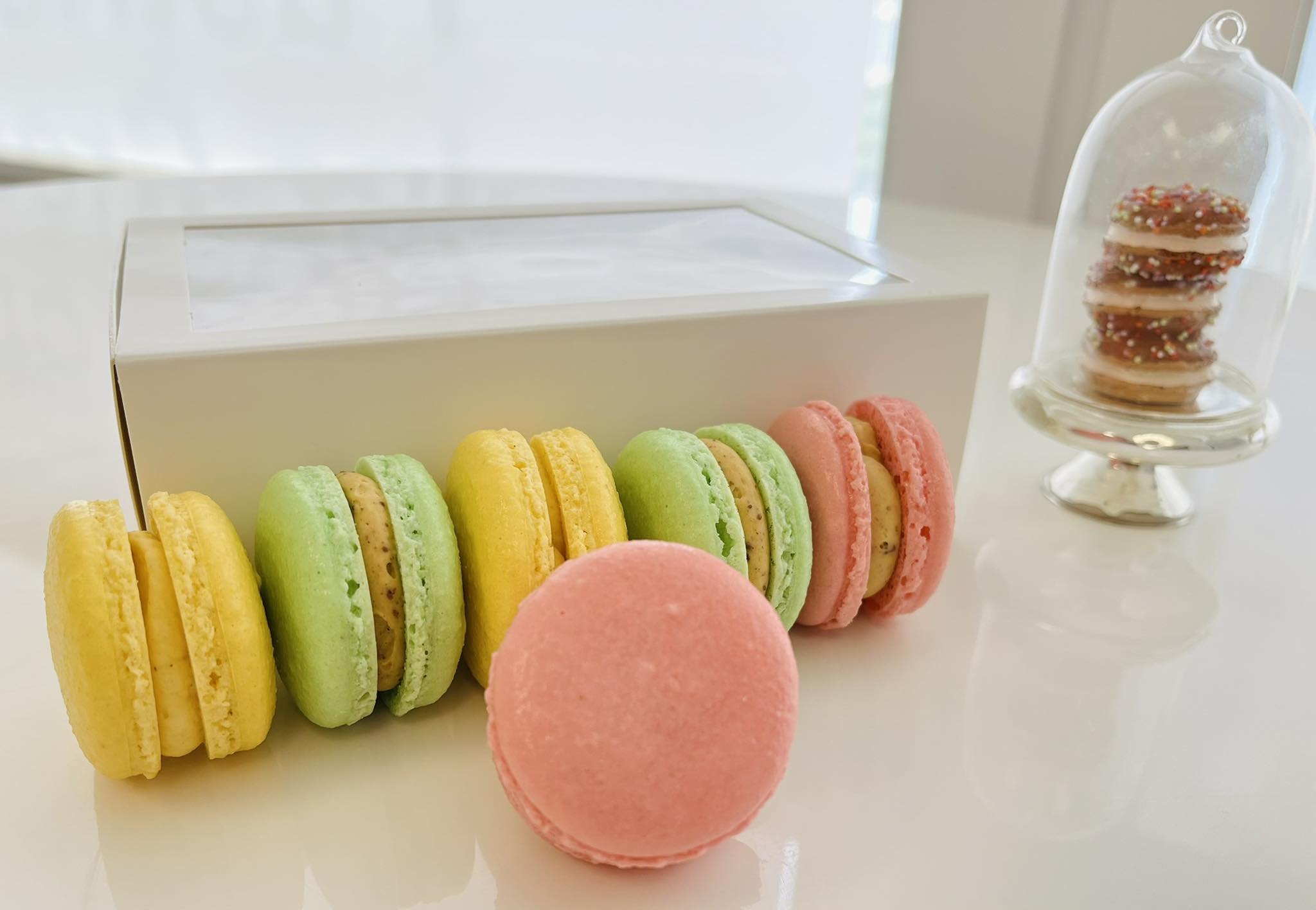 Fancy Bites | Fredericton Central Business District NB