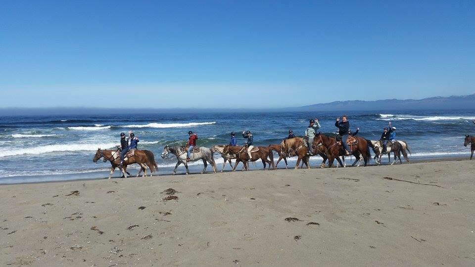 The Links at Bodega Harbour... - The Links at Bodega Harbour