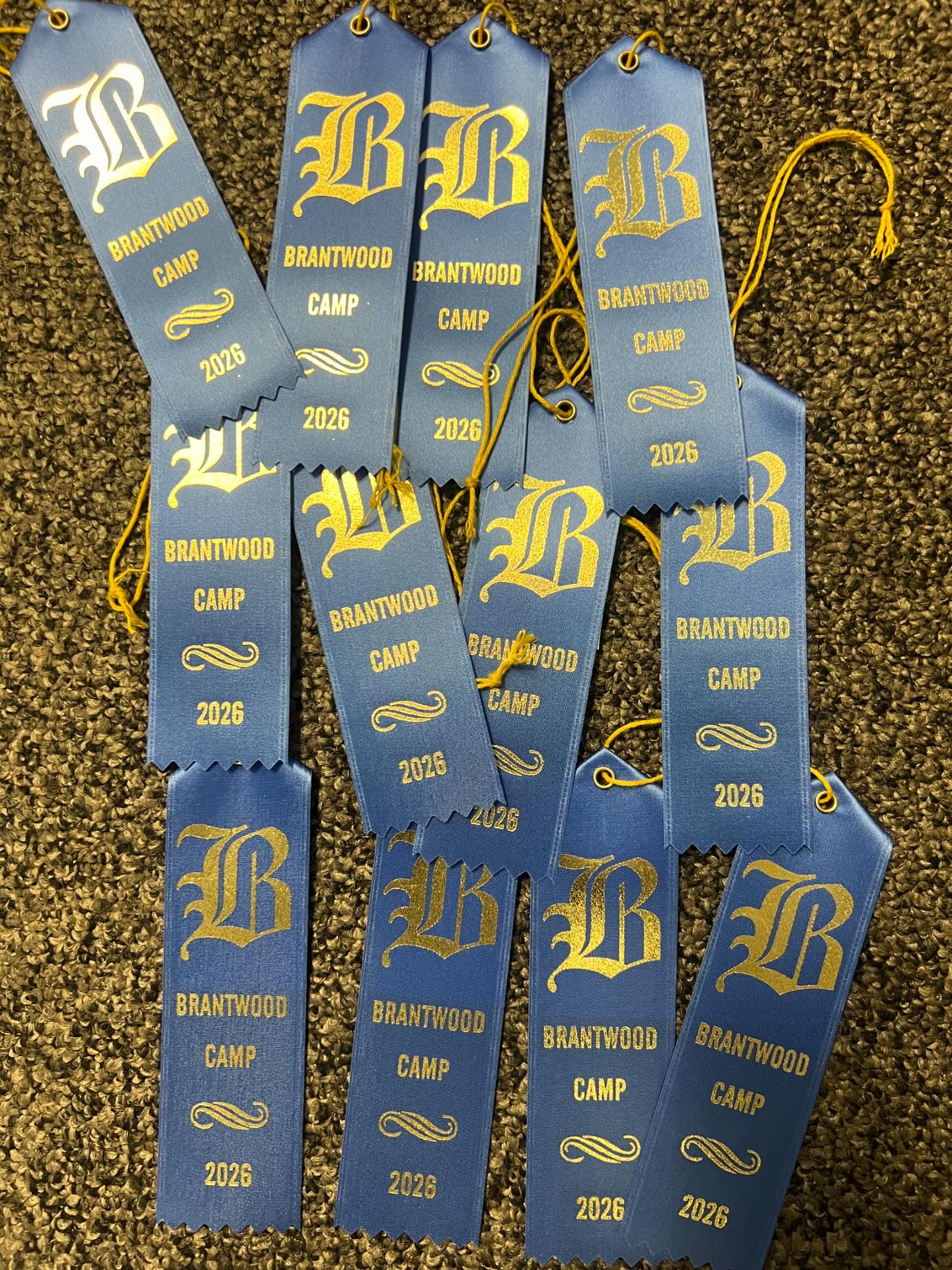 Brantwood Camp - The 2026 Prize Night ribbons have... | Facebook