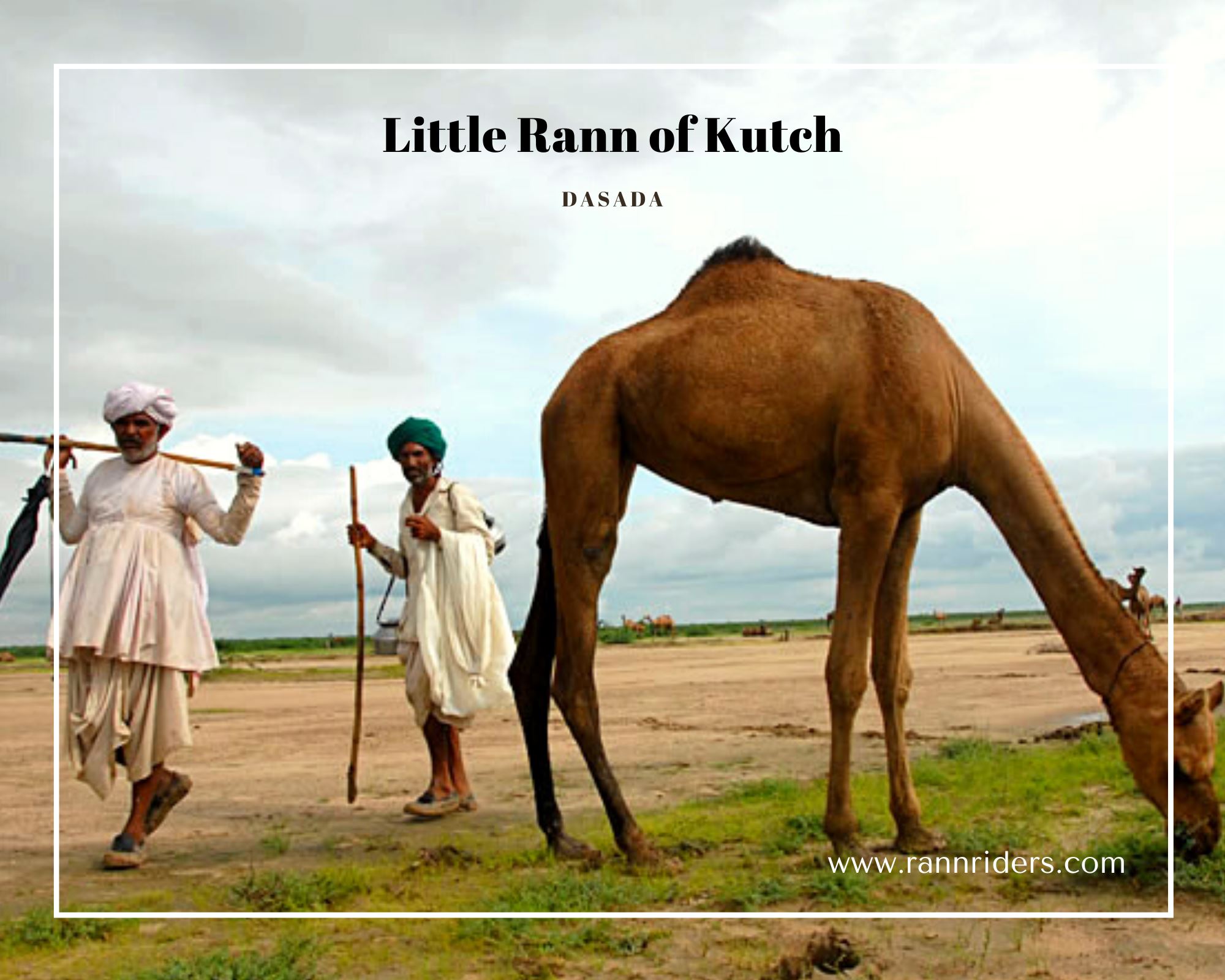 Bluecherries - The Little Rann of Kutch is one of the... | Facebook