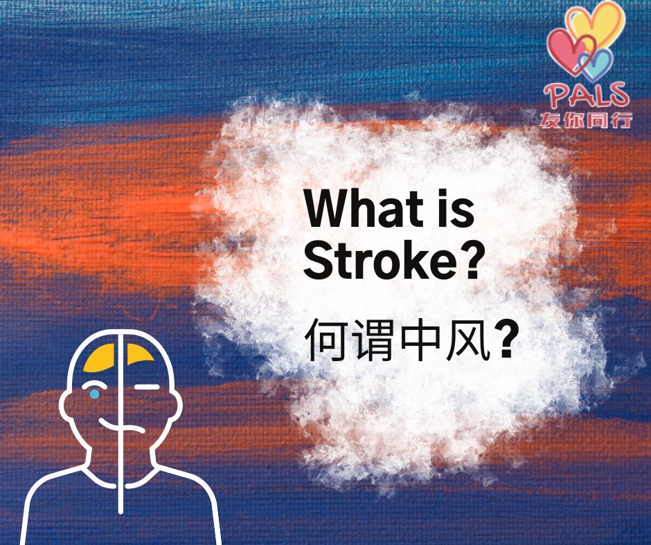 PALS Malaysia 友你同行 - 【What is Stroke?】 A stroke is brain damage caused ...