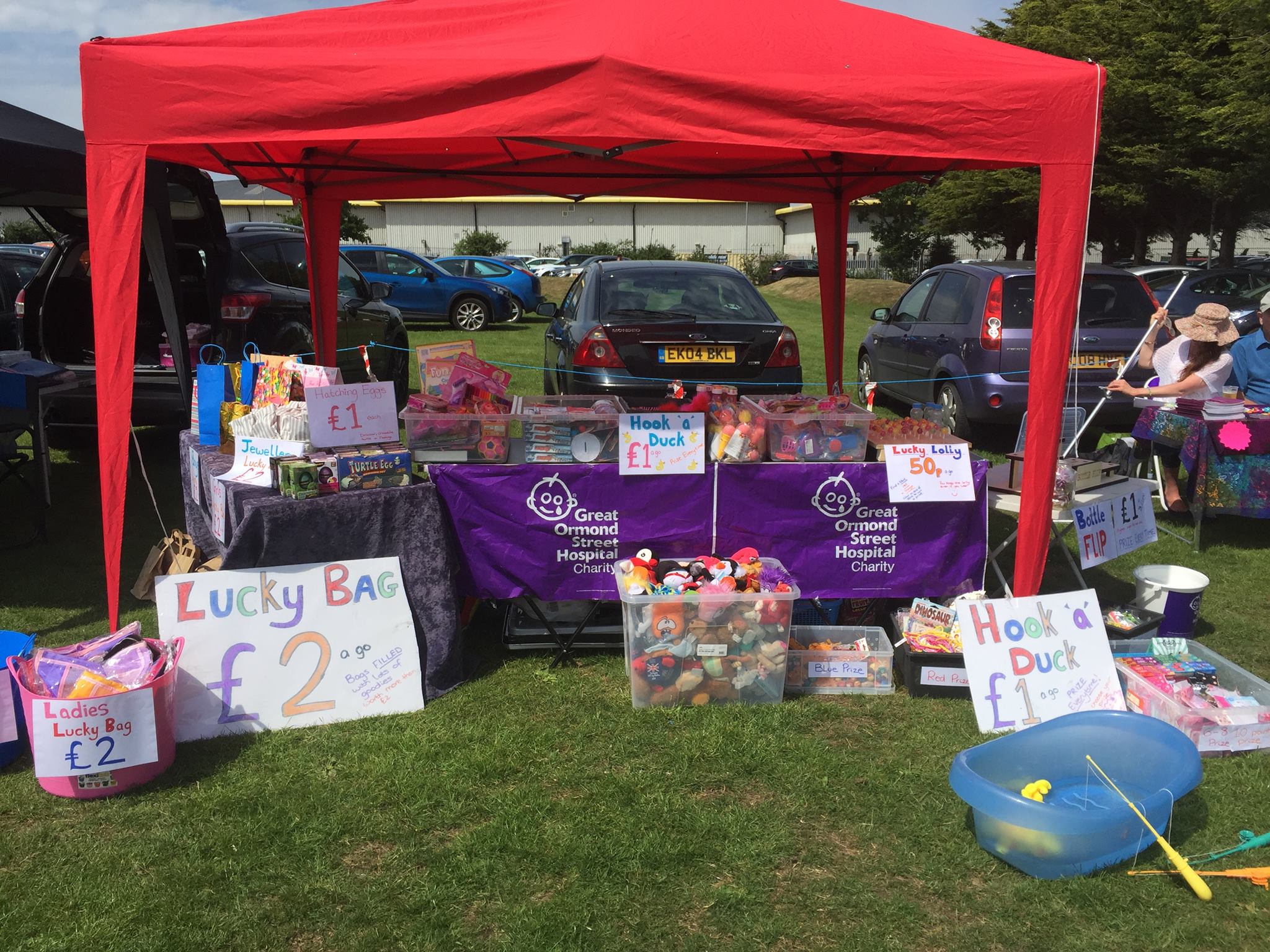 Great ormond street hospital fundraising