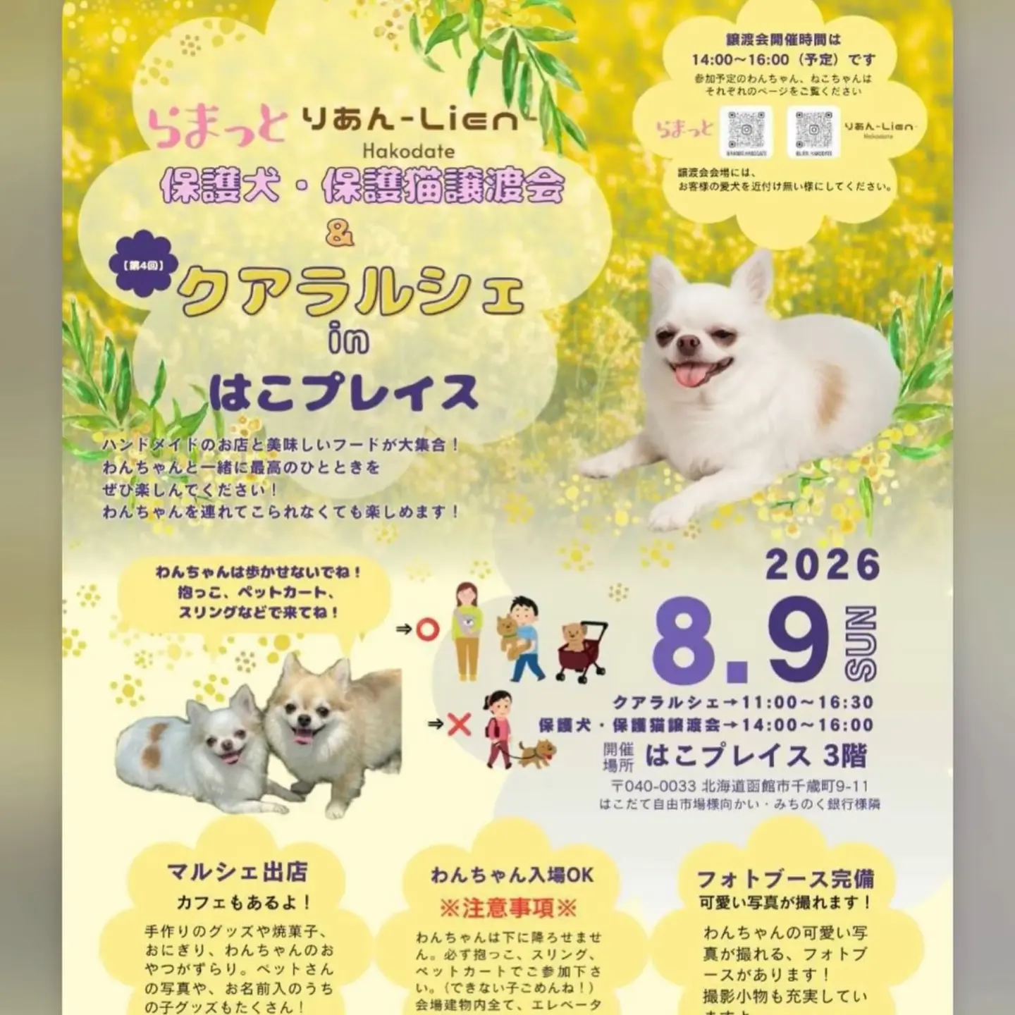 きなこちゃんポスター 専用 きなこちゃんポスター 専用【公式通販】