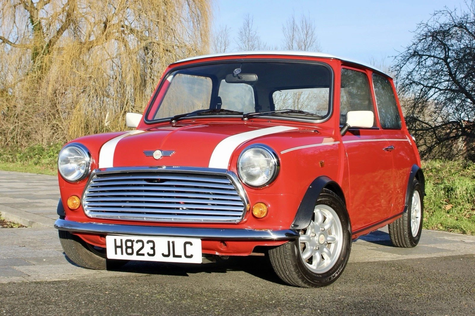 What type of classic JDM Rover Mini is it based on the VIN?