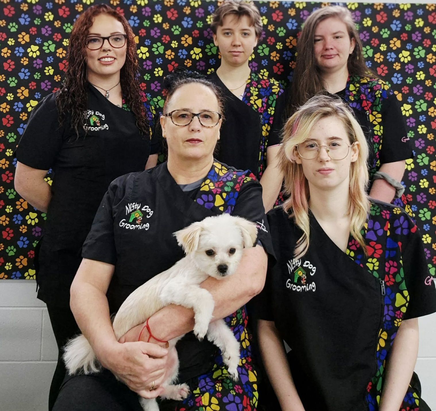 Nifty dog grooming | Whangarei