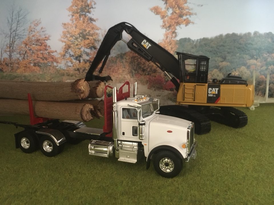 1/50 logging models