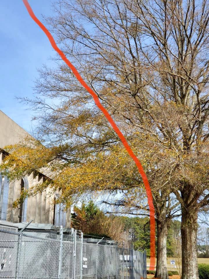 Fitzgerald Tree Removal LLC