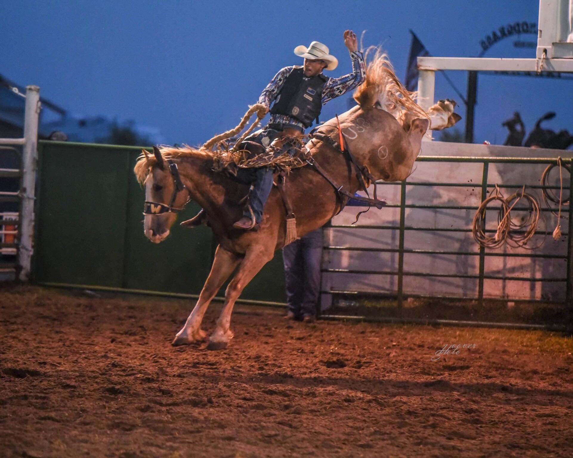 Hawkes Bay Country Rodeo
