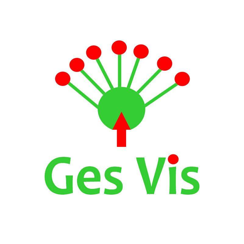 DAY 11 Answering common questions asked by clients | Ges Vis Studios