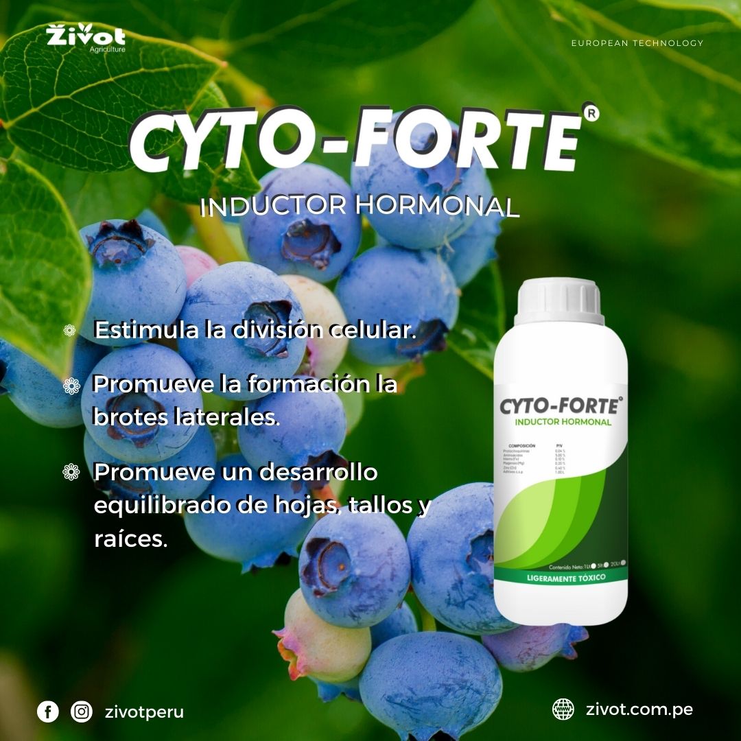 Zivot Perú - Protocitoquininas... 🍃 Aminoácidos... 🌱 Micro... | Facebook
