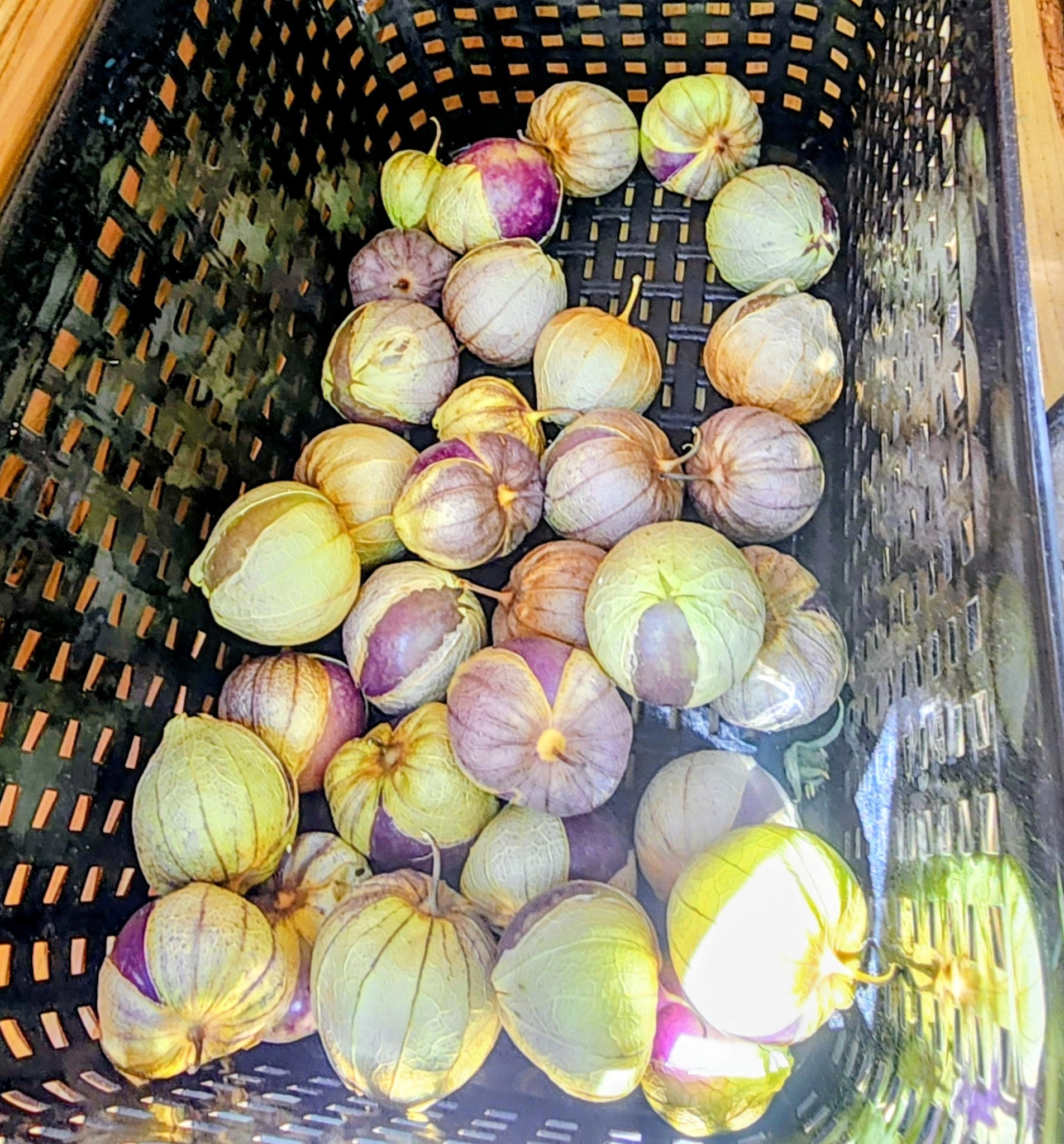 Fresh garden produce available in Redding