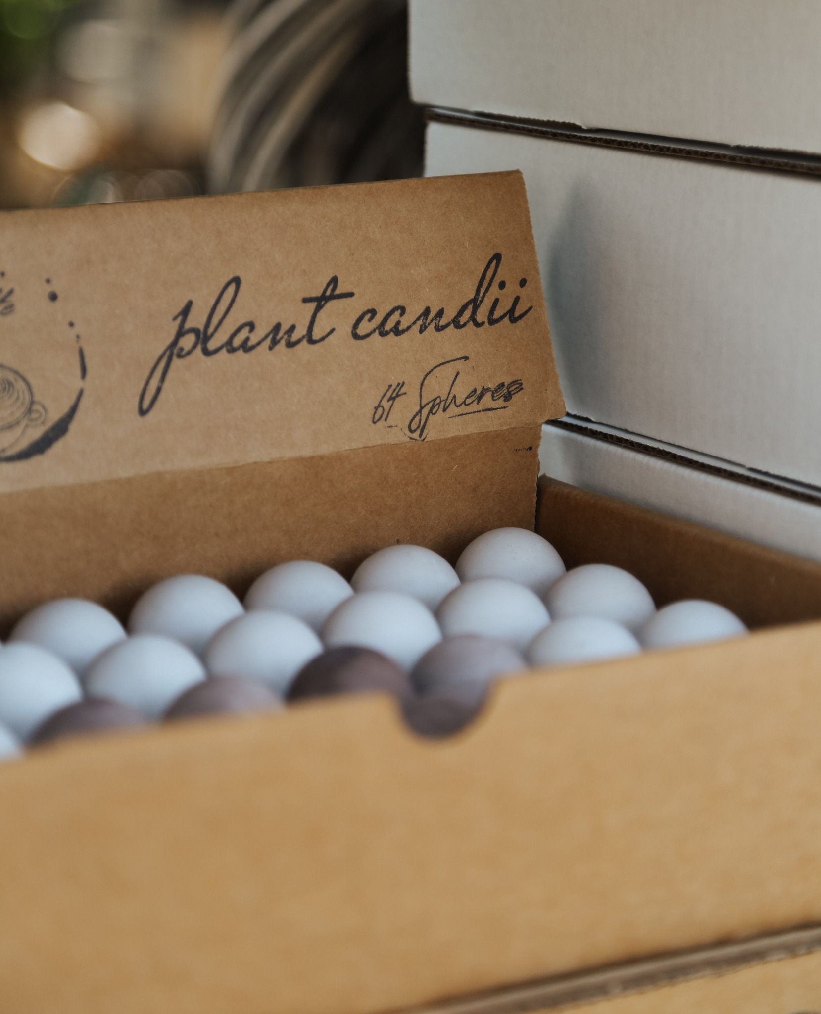 Meet Plant Candii - the... - Nicholas Alexander Home & Garden | Facebook