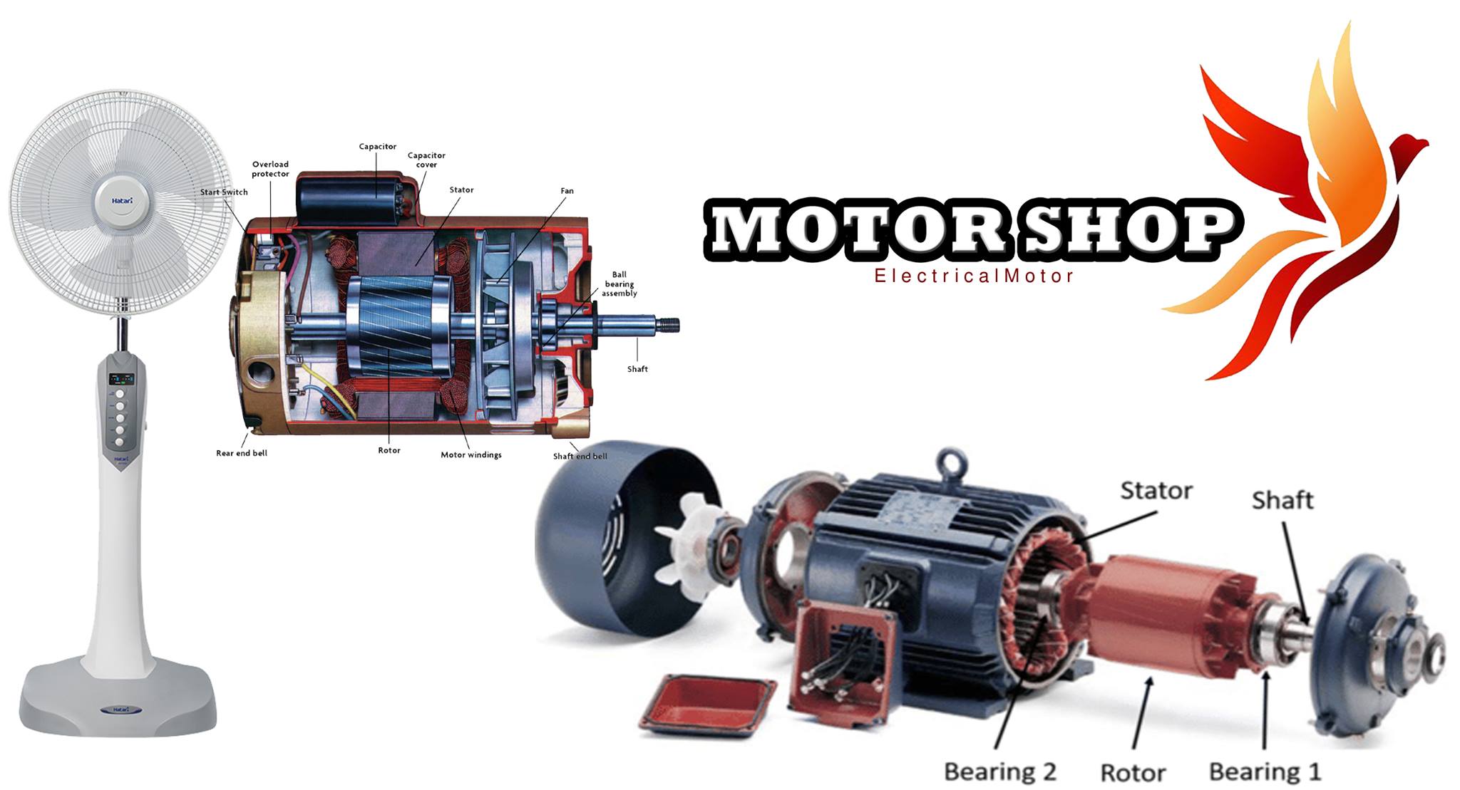 Motor Shop | Phnom Penh