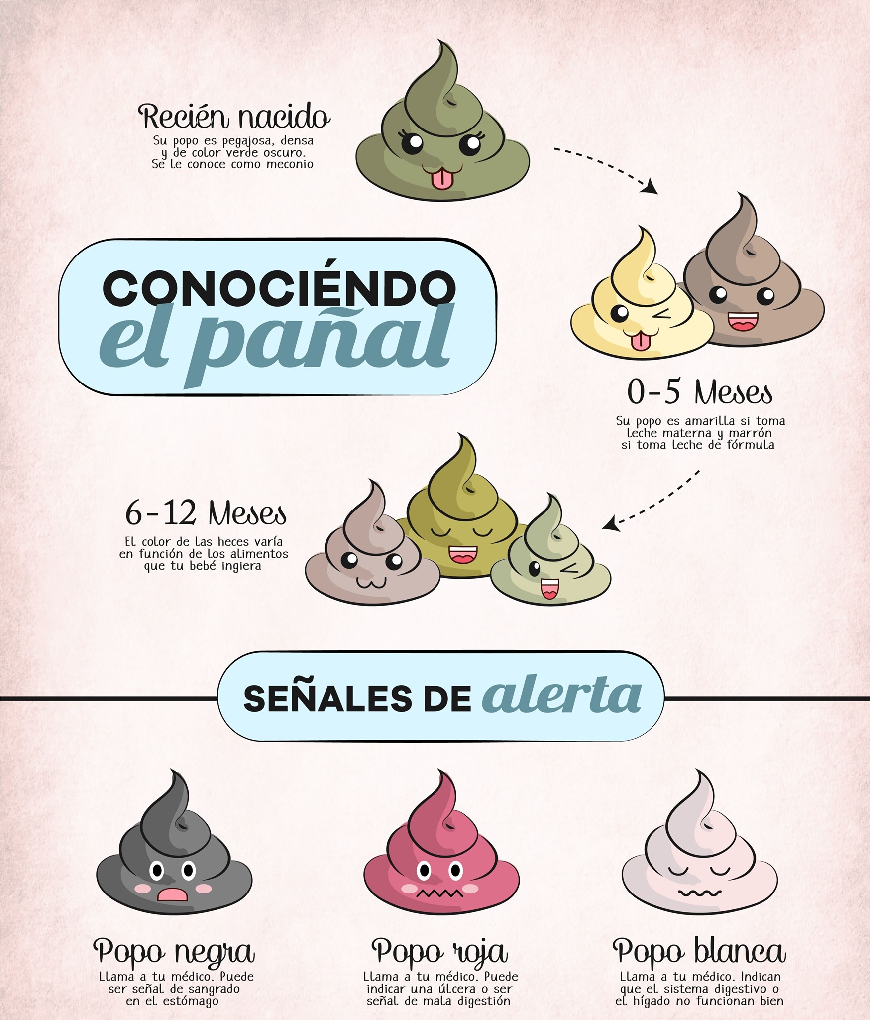 The little star - LAS POPOS DEL BEBÉ 💩 ¿Qué indica el...