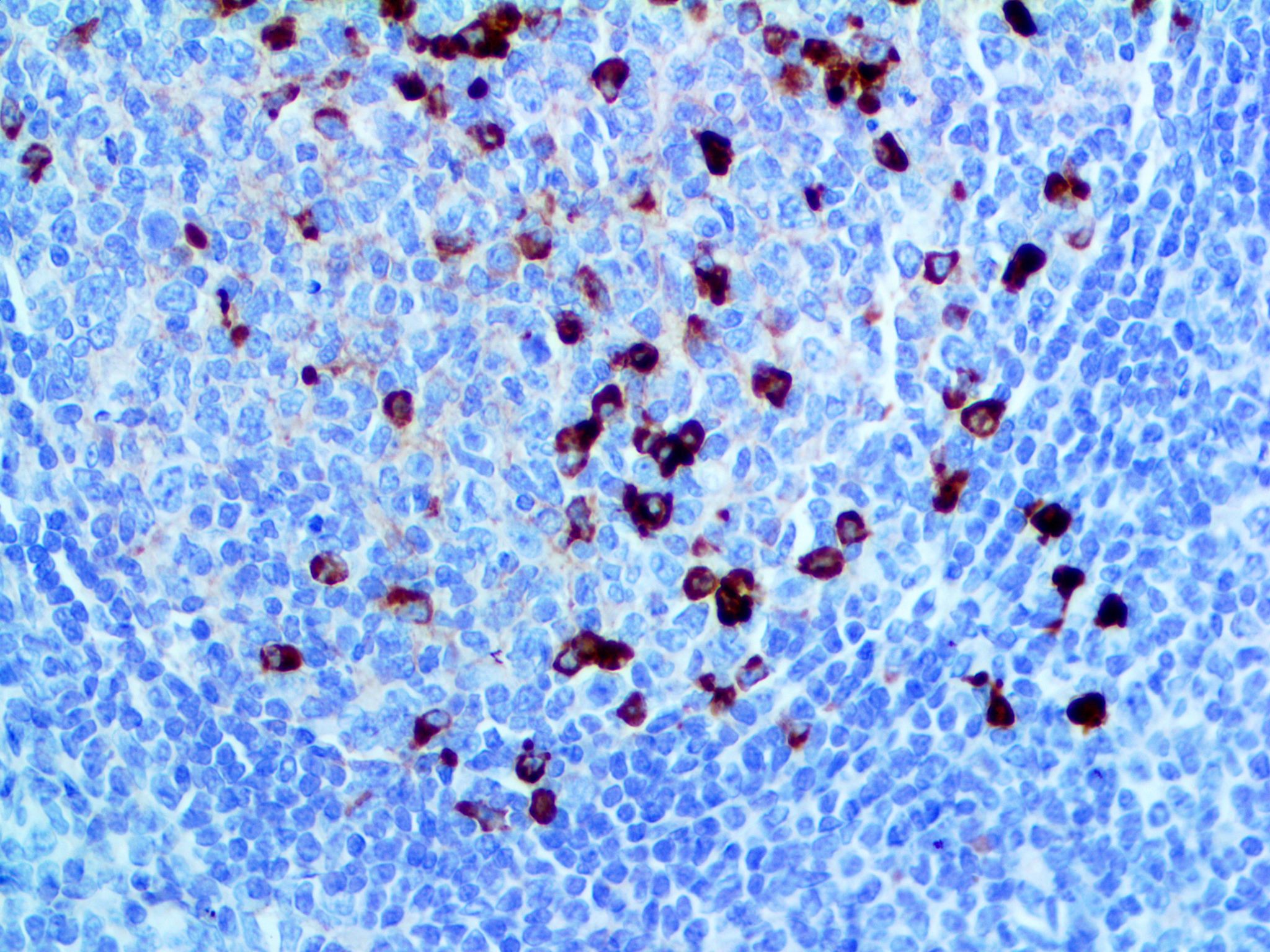 Bio SB - Did you know we have an entire line of...