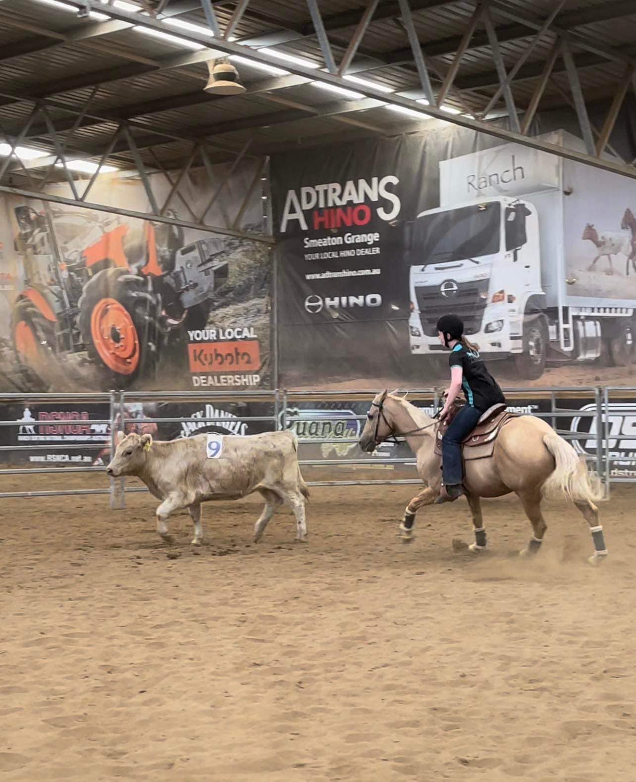 C Dale Ranch - 🤍 Team Penning 🤍 Olivia and buddy had...