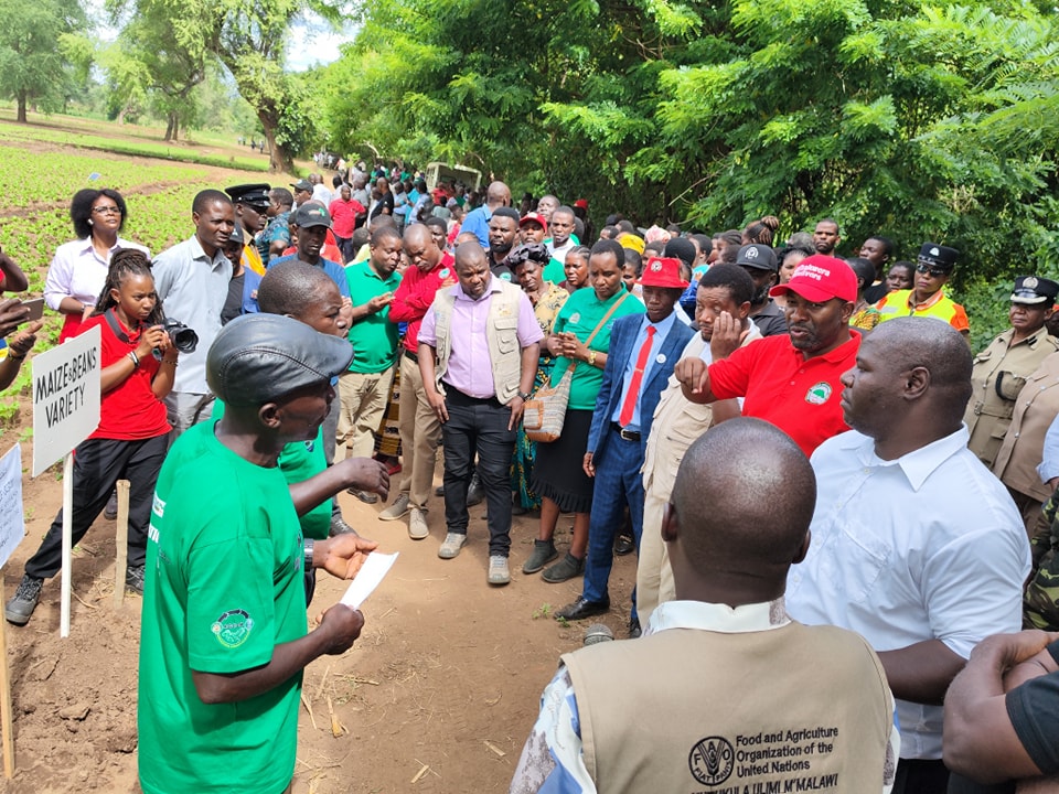 Malawi... - Malawi Enterprise Development Fund Limited- MEDF