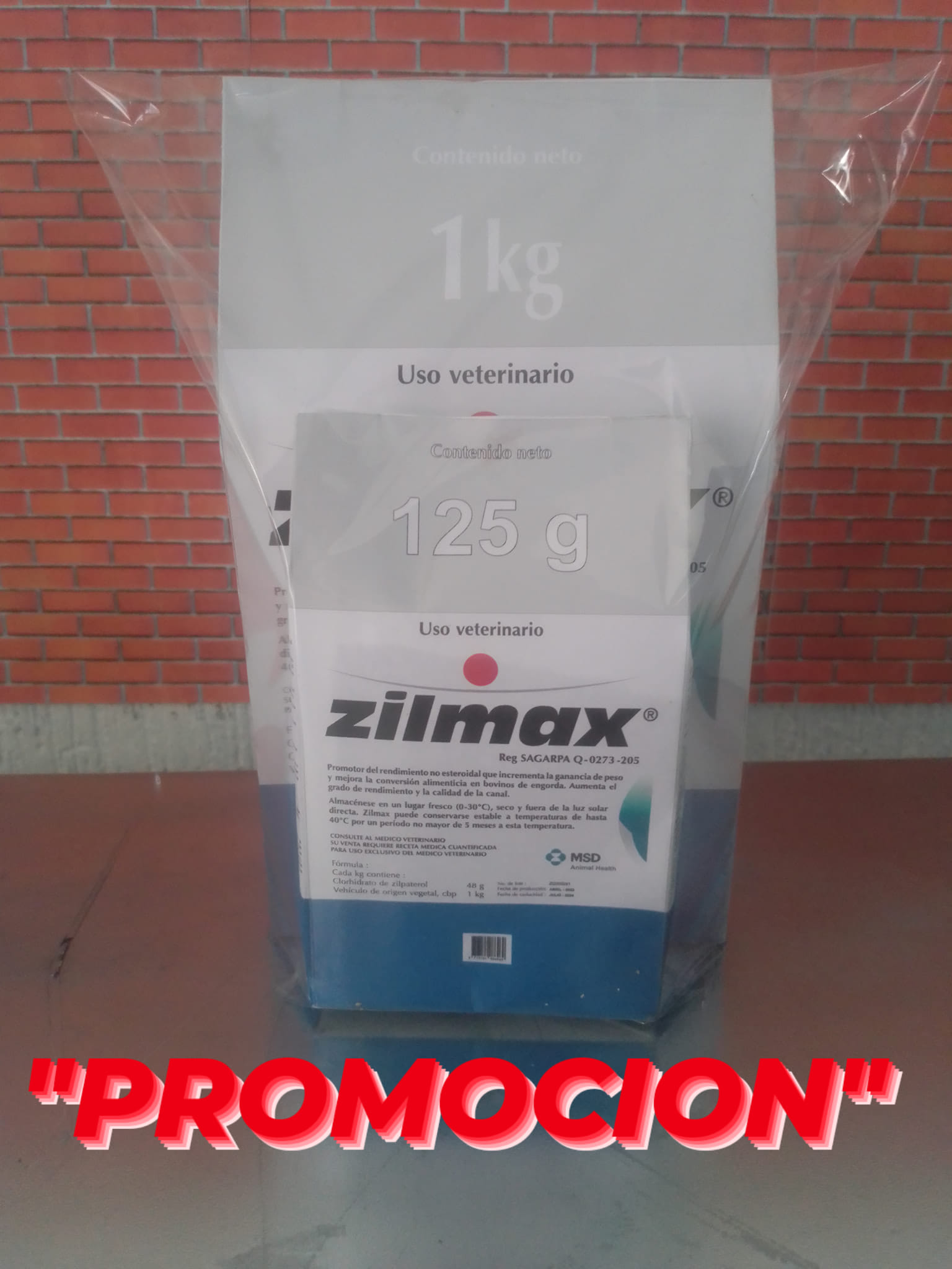 Zilmax | Zapopan