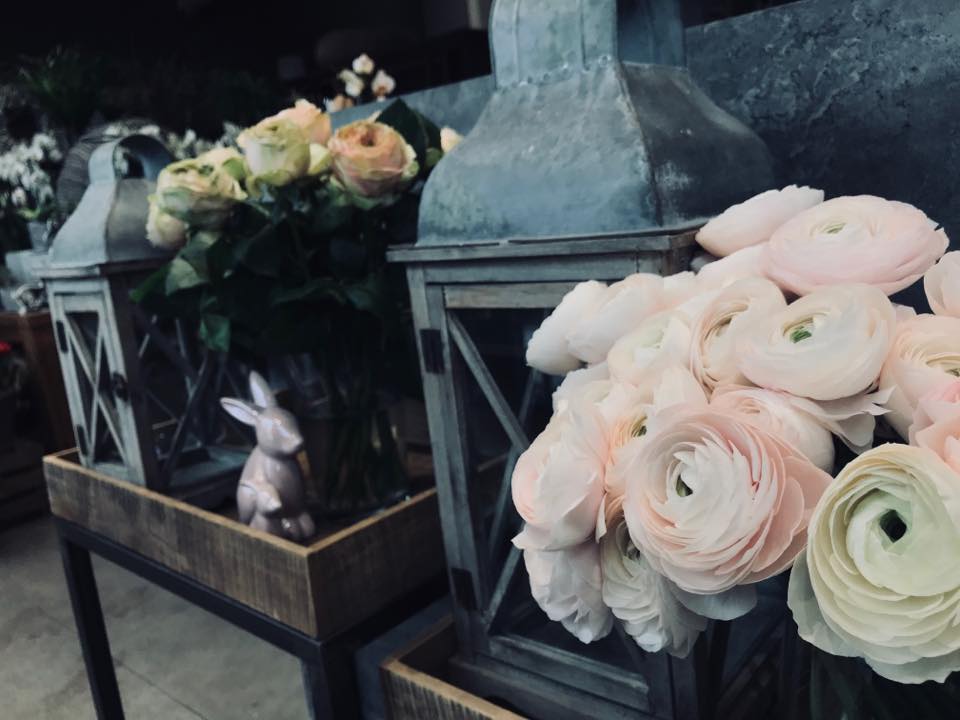 Fleurs Millenoacht
