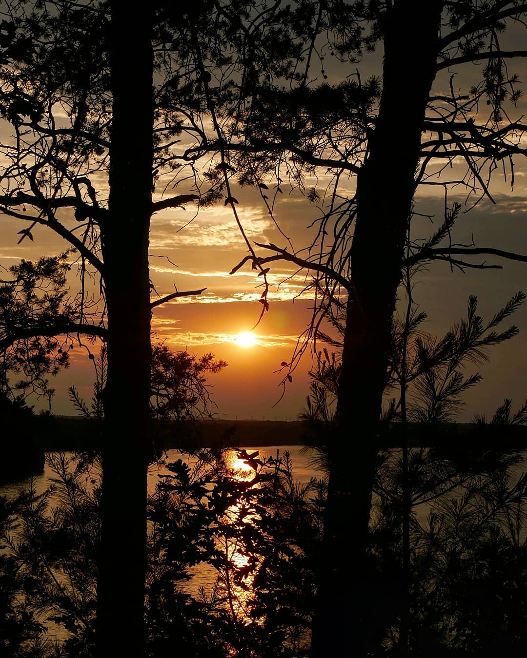 Michael Rodo Photography