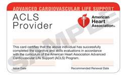 CPR and First Aid Training | Boca Raton FL