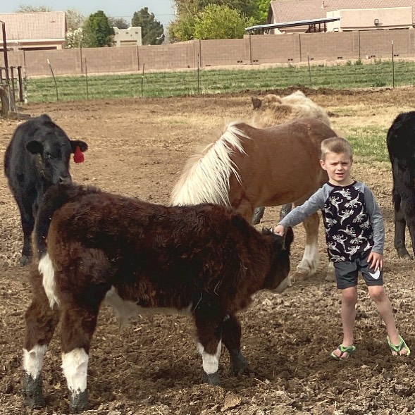 Rocker 7 Ranches | Buckeye AZ