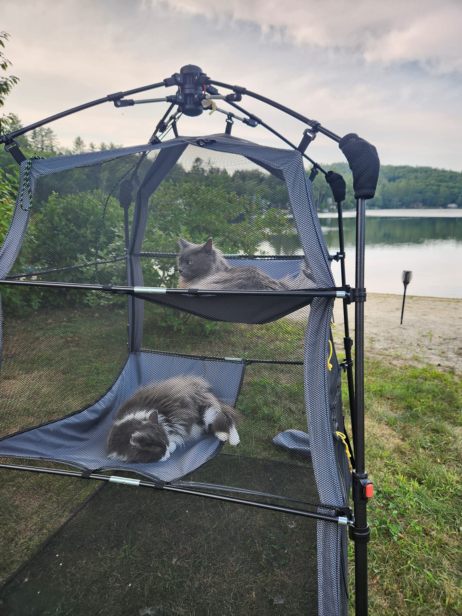 caravan air tent Camptech Starline 300 Low Caravan/Motorhome Awning Attribute 2:14 KTKEET 11-Gang-Kassette 11-25T/28T/30T/32T/34T/36T/40T/42T/46T/50T/52T Mountainbike/Rennrad Exclusive Maxi Enjoy panoramic TPU skylights