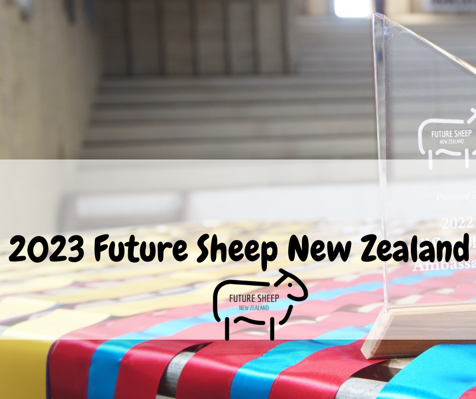Future Sheep New Zealand