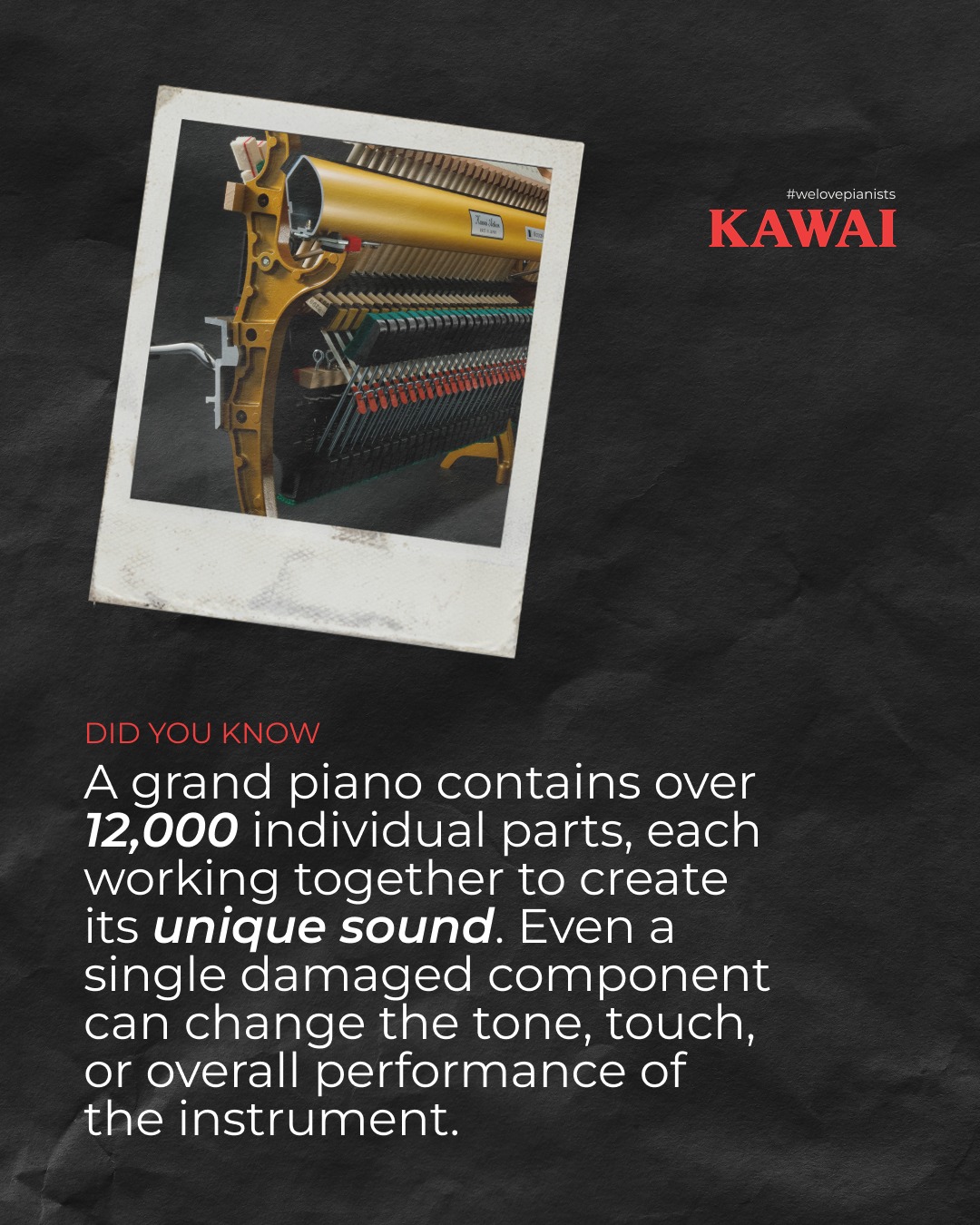 Welovepianists - A grand piano is one of the most complex instruments ...