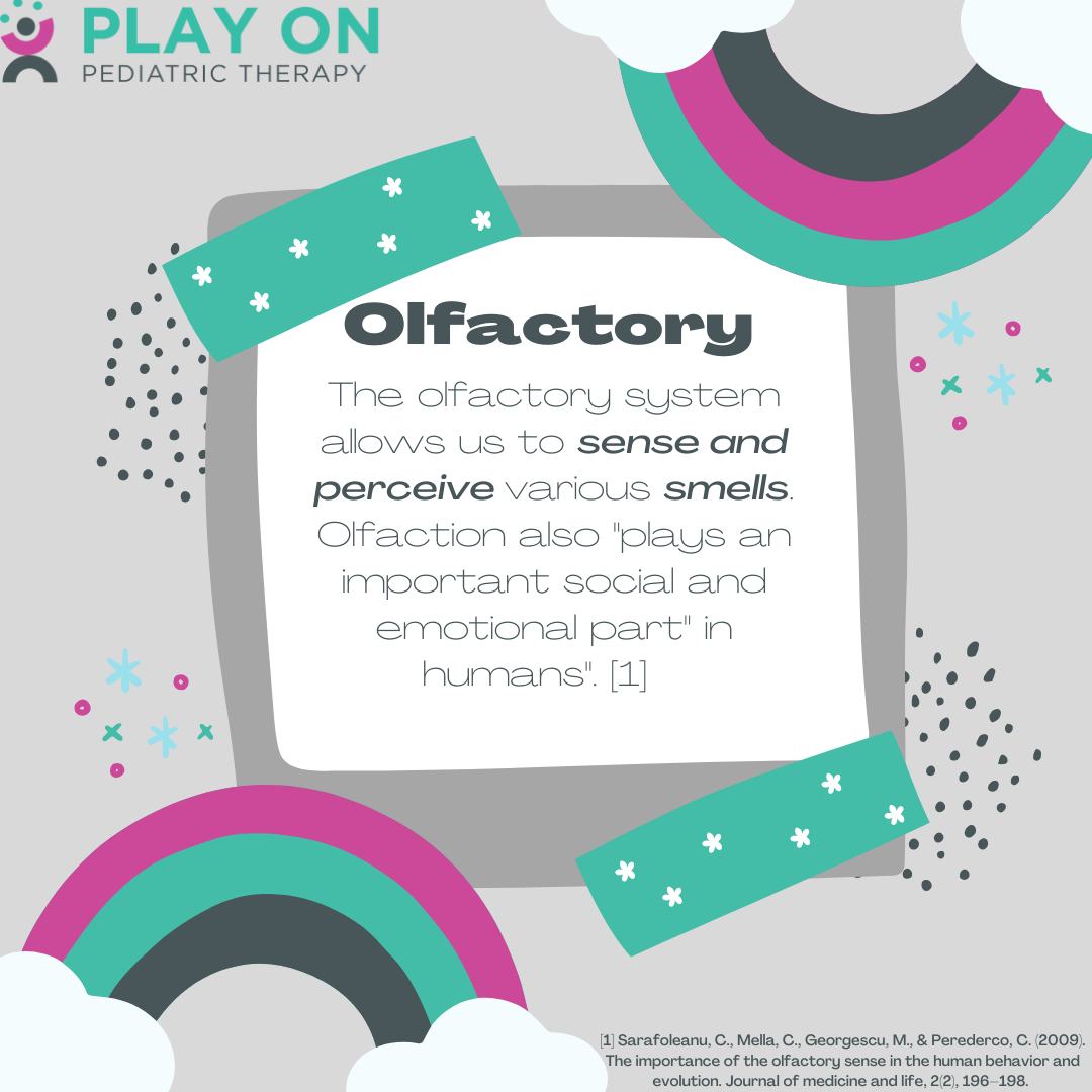 The olfactory system is made... - Play On Pediatric Therapy | Facebook
