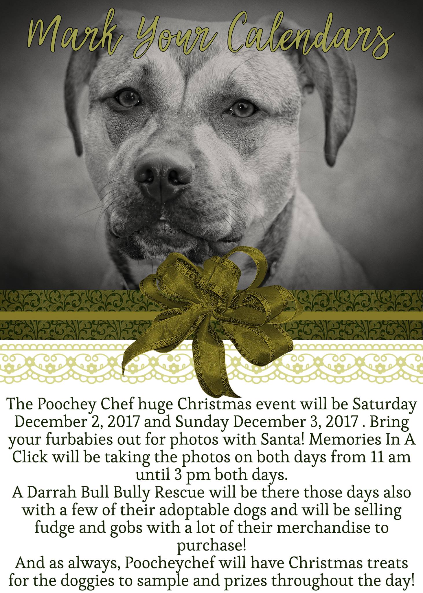 Poochey Chef | Duncansville PA