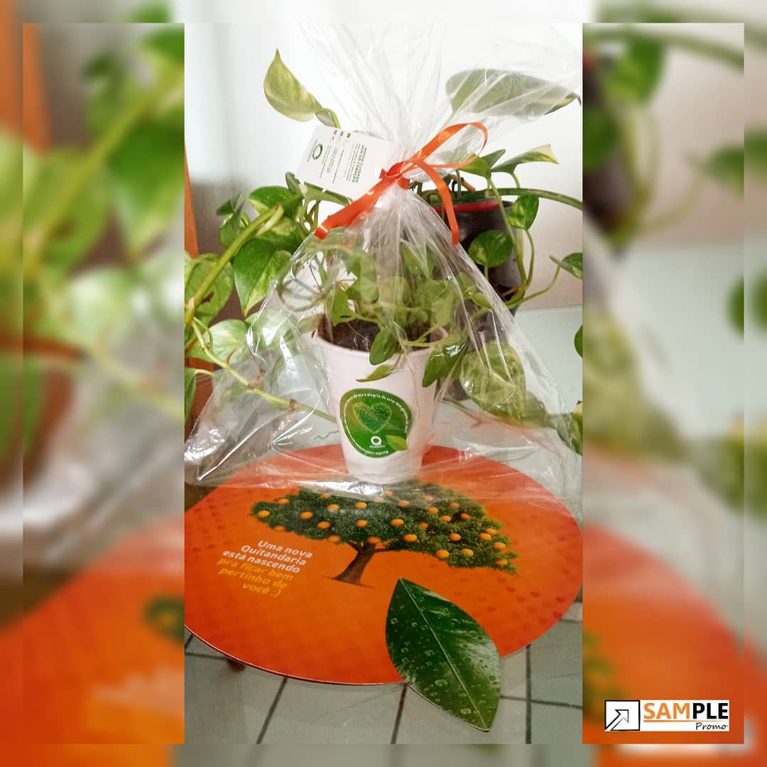 Sample Promo | Camaragibe PE