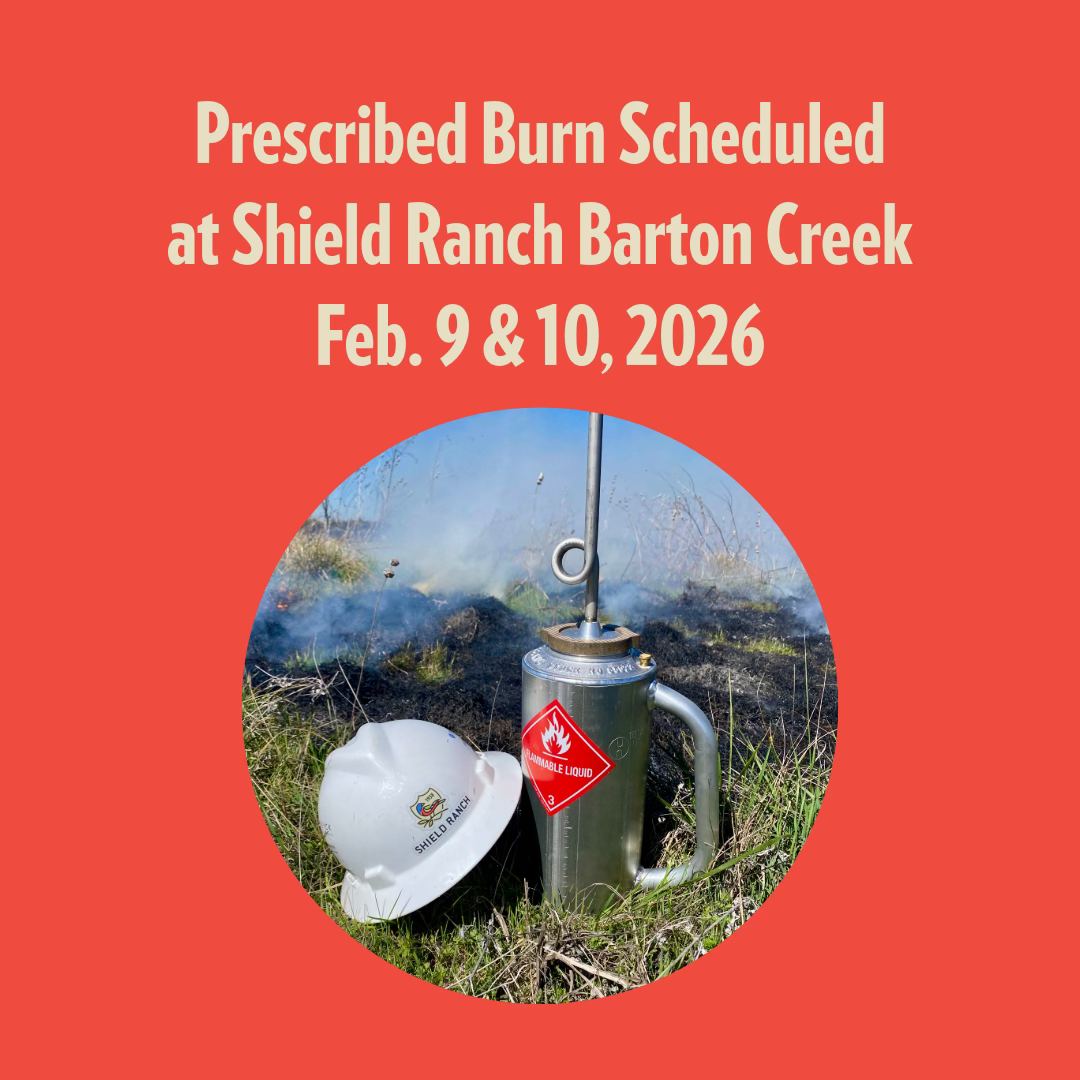 Shield Ranch
