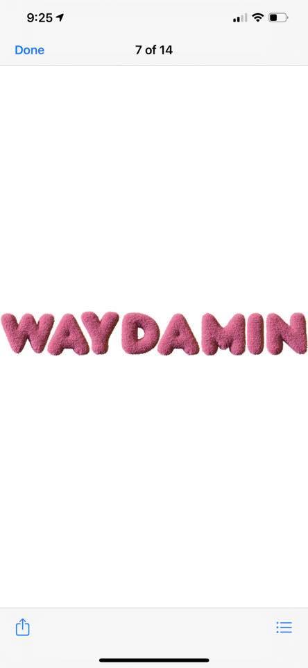 Waydamin