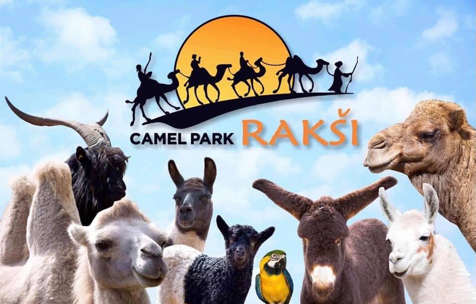 Rakši ZOO - Home