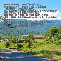 Team Katsuragi Lovers 郷邑 Home Facebook